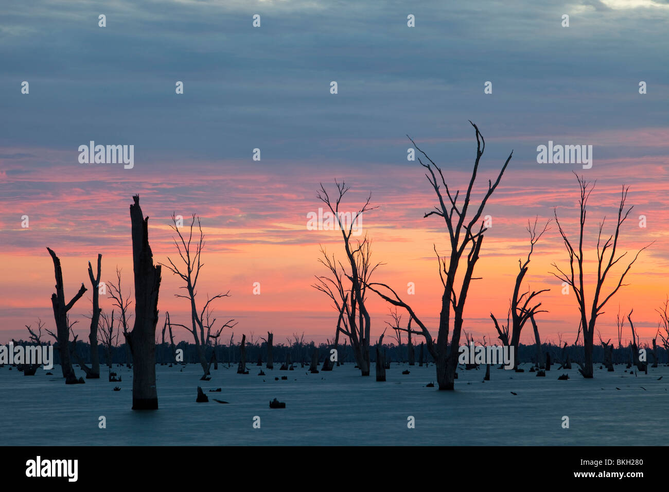 See Mulwala bei Yarrawonga entstand, als Murray River aufgestaut wurde, zu Bewässerung-Wasser für die umliegenden landwirtschaftlichen Flächen. Stockfoto
