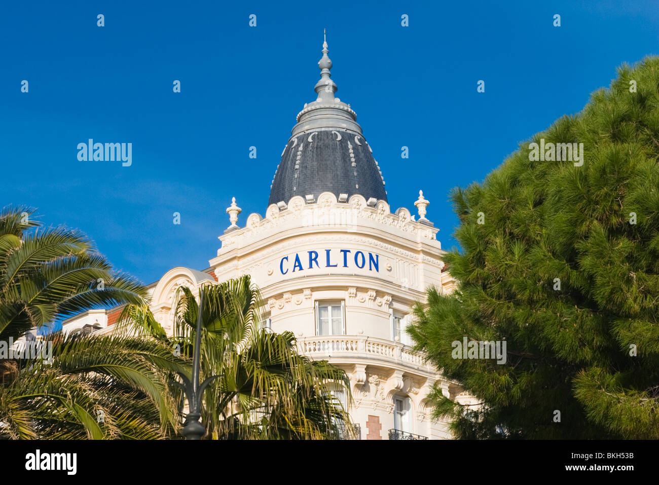 Cannes, La Croisette, Blick auf Details des Carlton Hotel Inter Continental durch die Bäume & Palmen Stockfoto