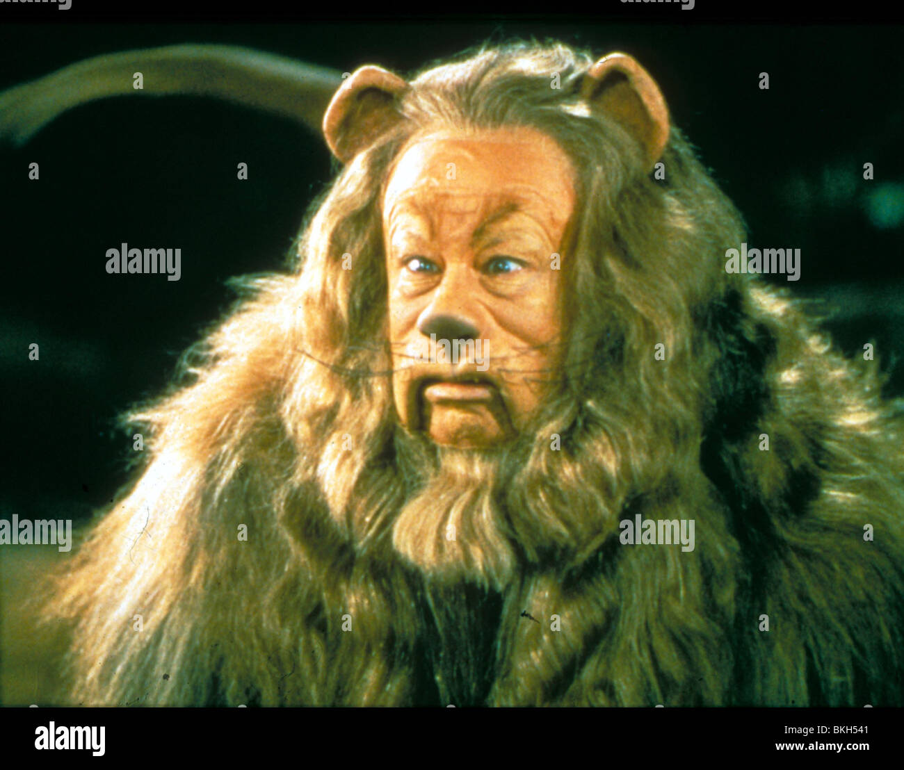 DER ZAUBERER VON OZ (1939) BERT LAHR WOZ 075 Stockfoto