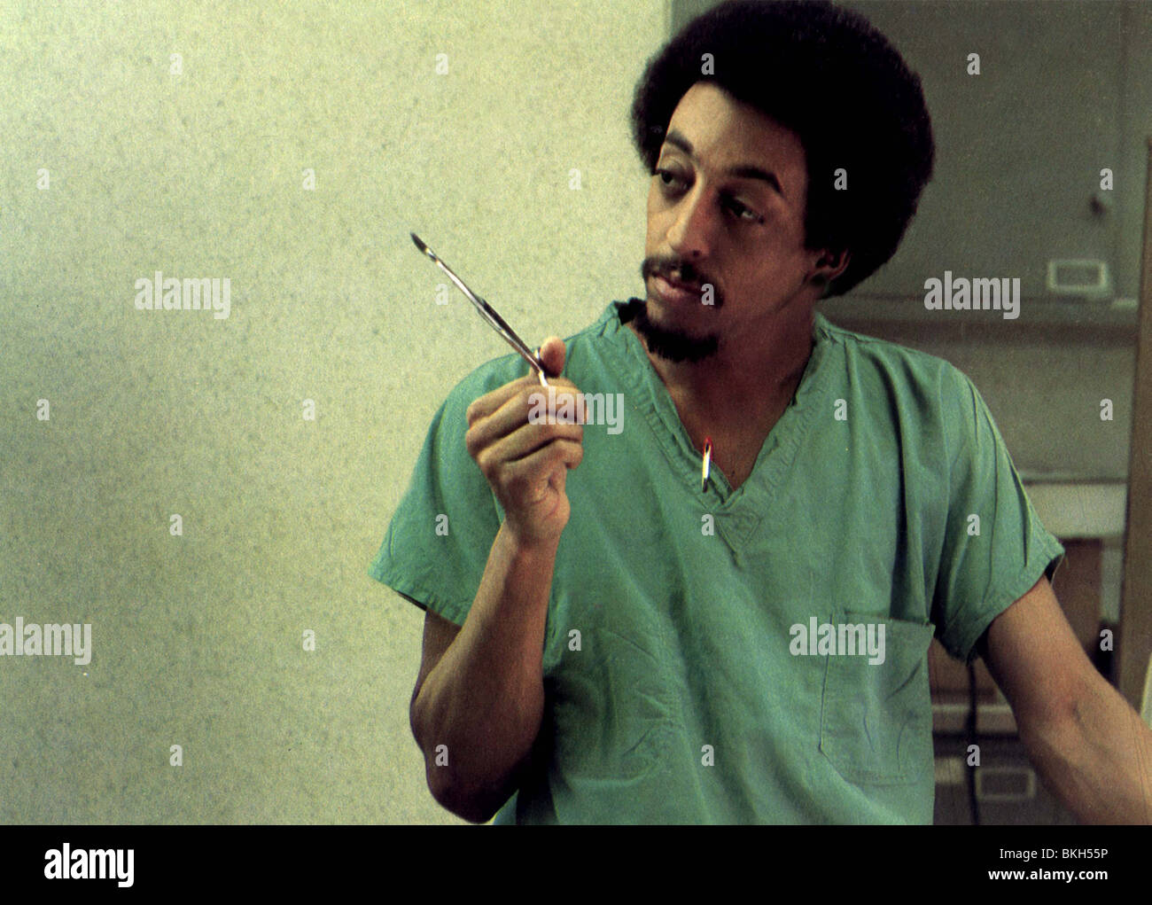 WOLFEN-1981 Stockfoto