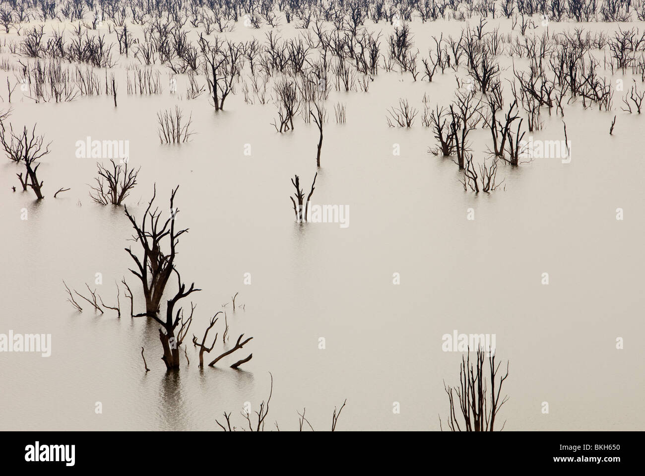 Anhaltende Trockenheit, die Gefahren durch den Klimawandel hinterließ Lake Hume in Australien sehr gering. Stockfoto