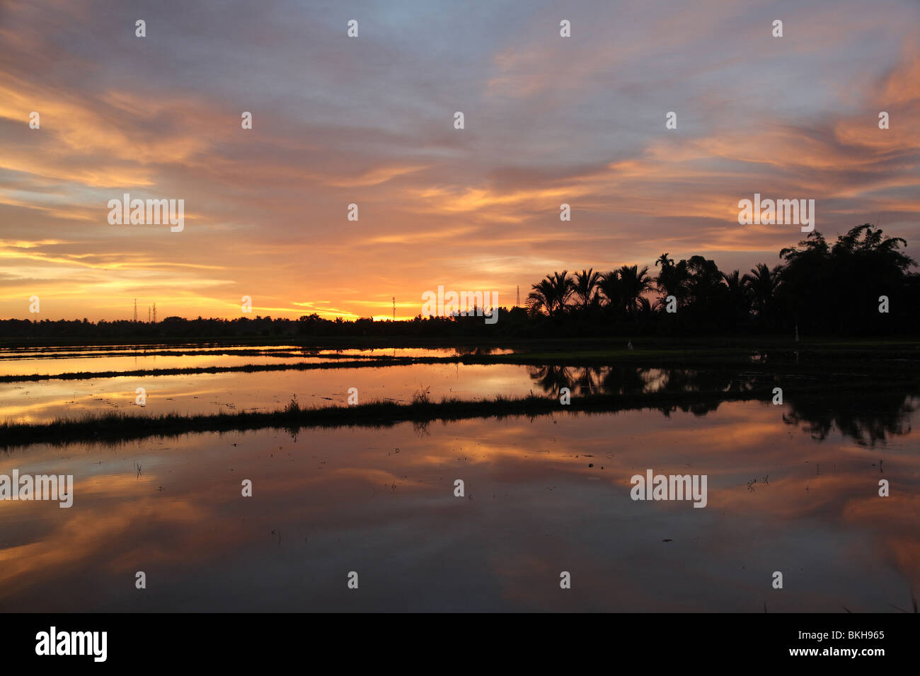 Sonnenuntergang über Reis Paddy, Padang, Sumatra, Indonesien Stockfoto