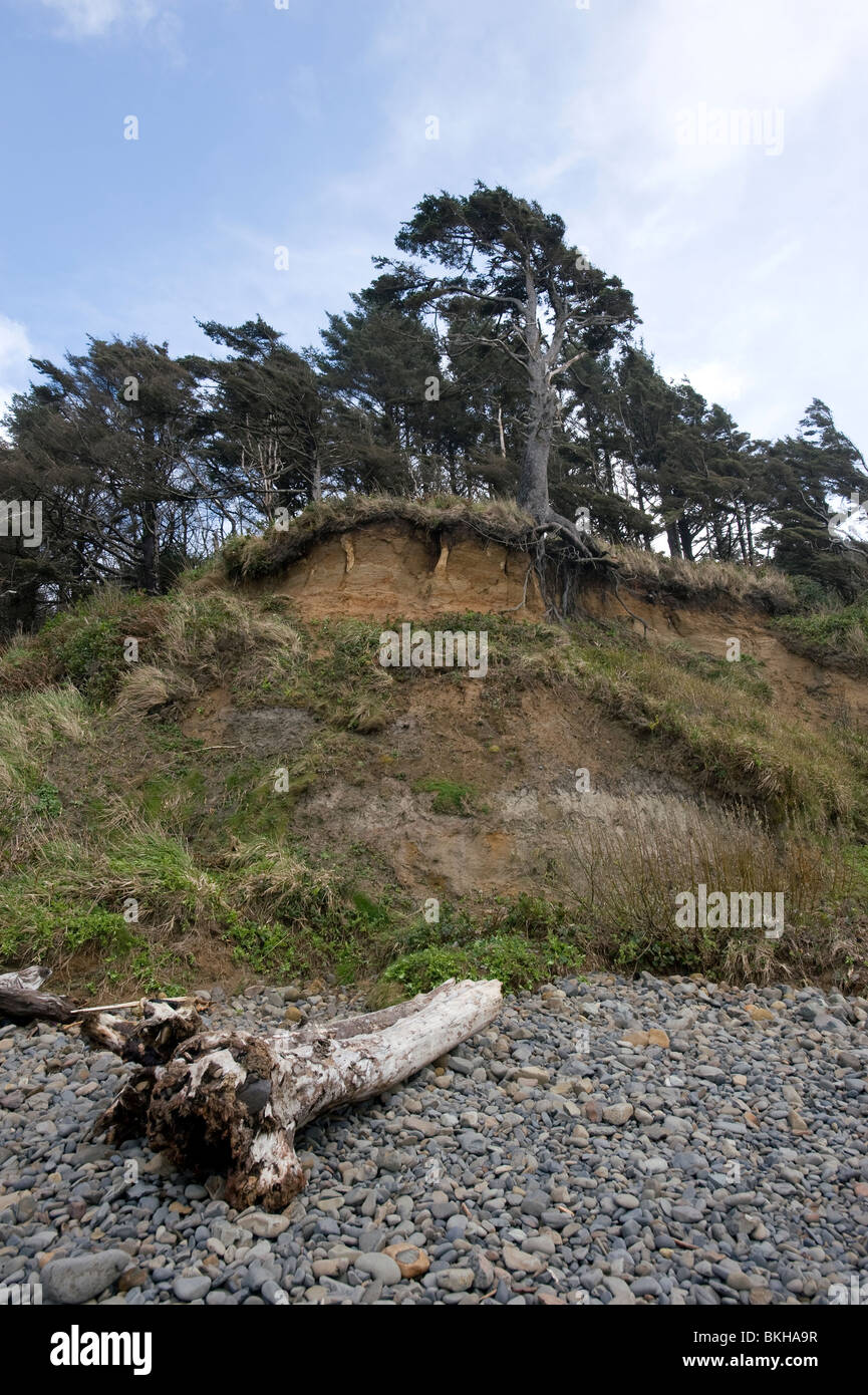 Küste Strand Erosion. Stockfoto