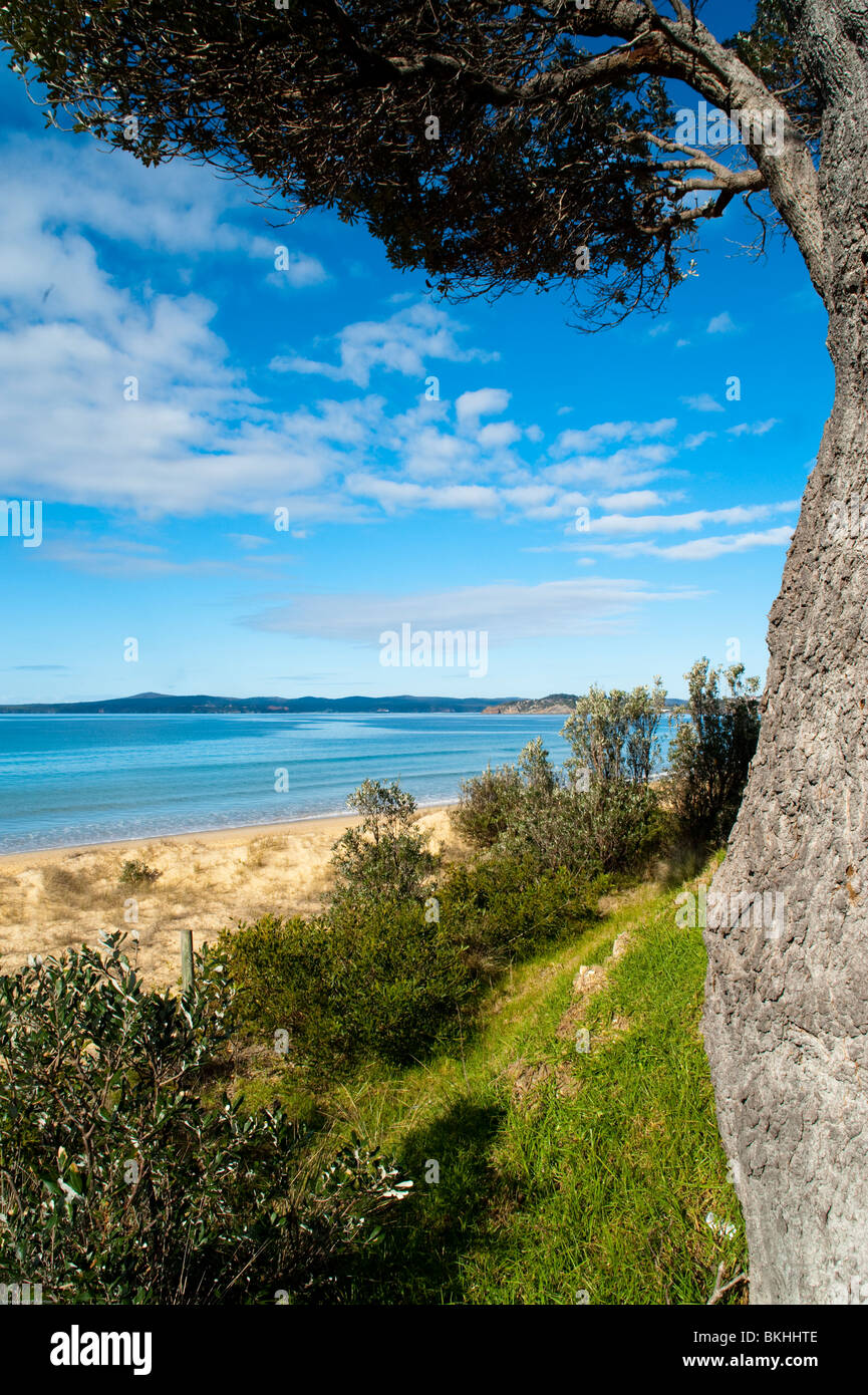 Seen Eingang, Victoria, Australien. Stockfoto