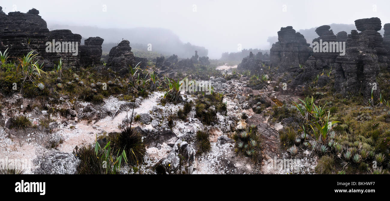 Quarz-Kristalle Kristalle Tal, Mount Roraima, im Dreiländereck von Venezuela, Brasilien und Guyana. Stockfoto