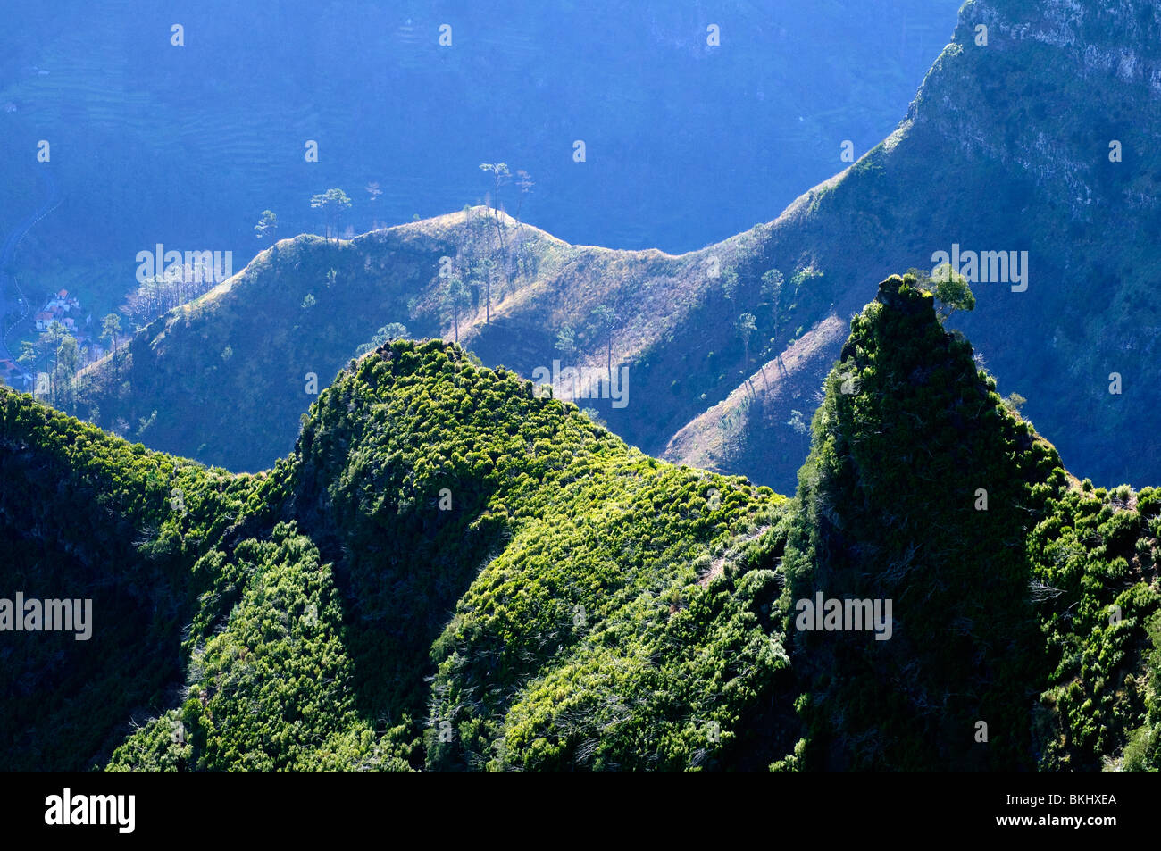 Üppig aber schroffe Landschaft in den Tälern unterhalb der höchsten Gipfel der Insel Madeira Stockfoto