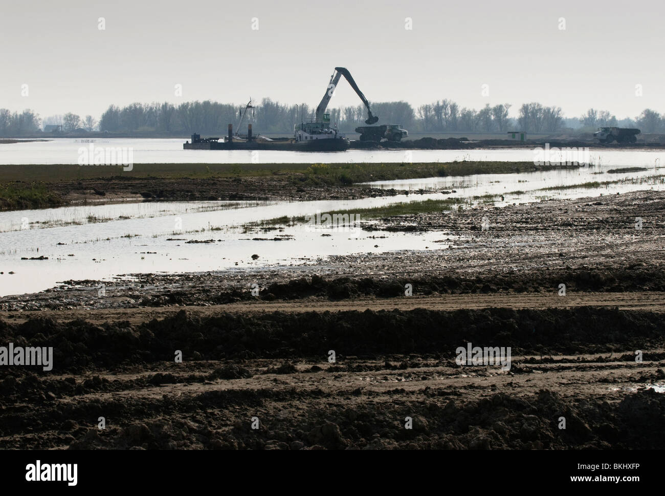 Brabantse Biesbosch Plan Noordwaard; Polder Hardenhoek; Natuurontwikkeling; Laatste Fase; Wasser; Staatsbosbeheer; Naturentwicklung; Stockfoto