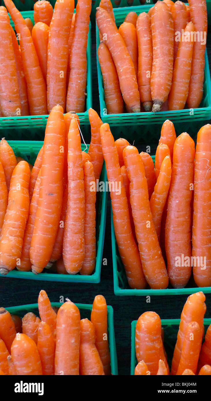 Frisch gepflückt Bio-Karotten auf dem Display am Bauernmarkt Stockfoto