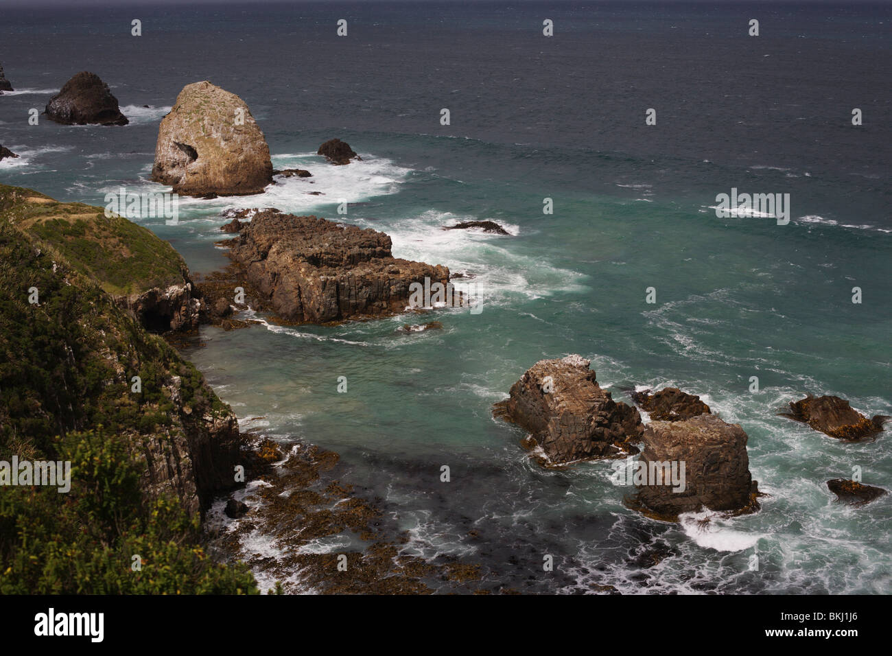 Nugget Point, der Catlins Neuseeland Stockfoto