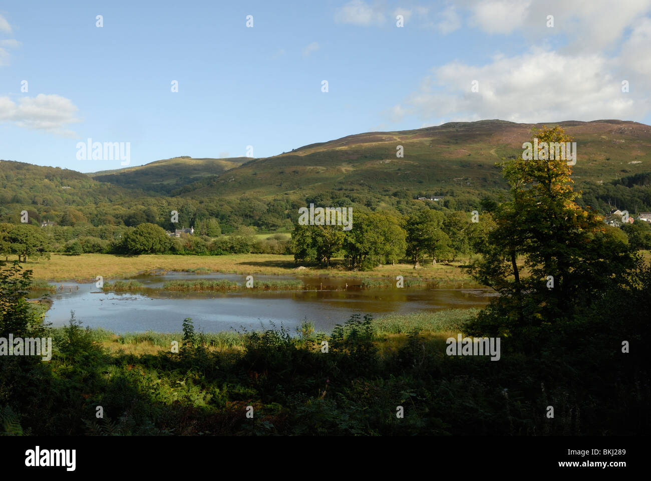 Agrarland, überschwemmt, um Feuchtbiotop zu schaffen, Ynys Hir RSPB Nature Reserve, Powys, Wales, Großbritannien. Stockfoto
