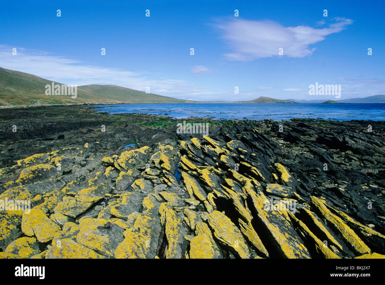 Falkland-Inseln, Karkasse Insel, Siedlung, Flechten bedeckt Felsen. Stockfoto
