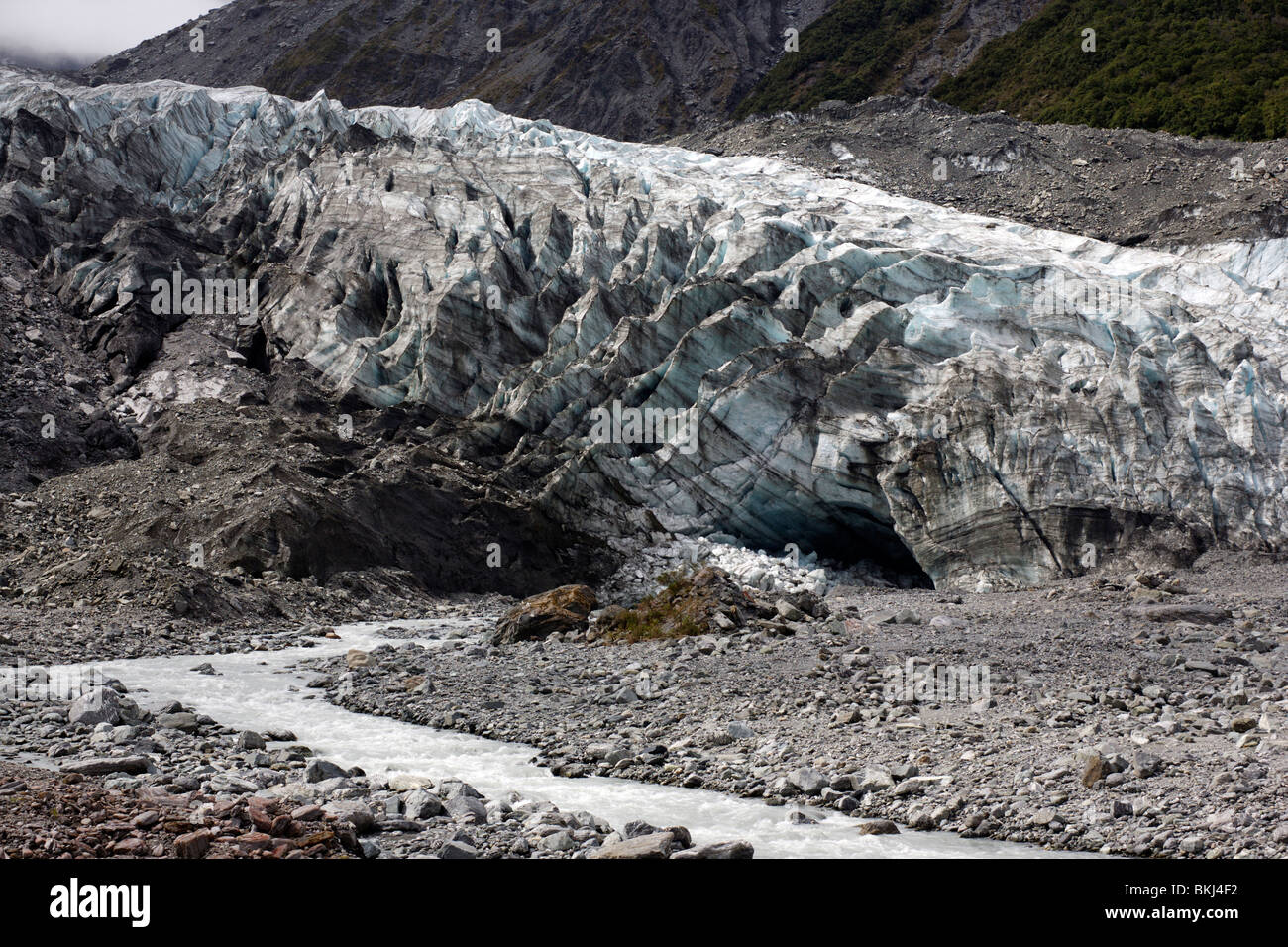 Der Fox-Gletscher im Westland Tai Poutini Nationalpark in Neuseeland Stockfoto