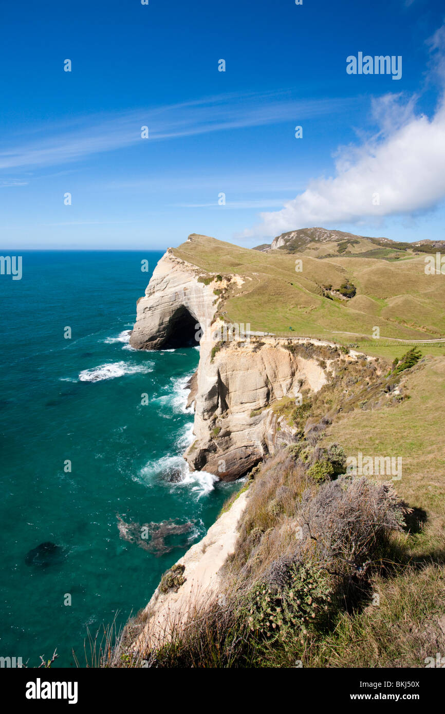Cape Farewell Südinsel Neuseeland Stockfoto