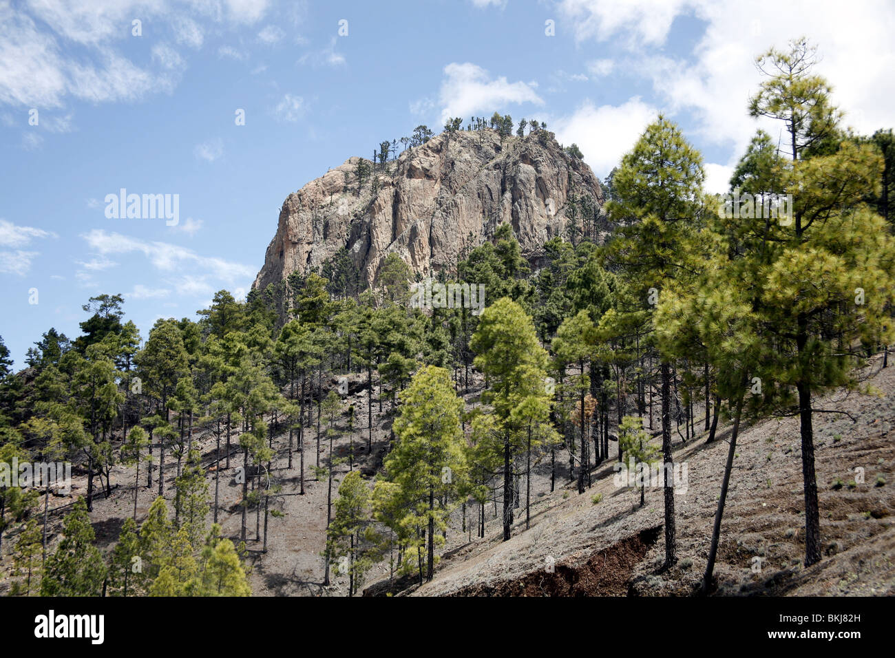 Berg in Gran Canaria, Kanarische Inseln, Spanien Stockfoto