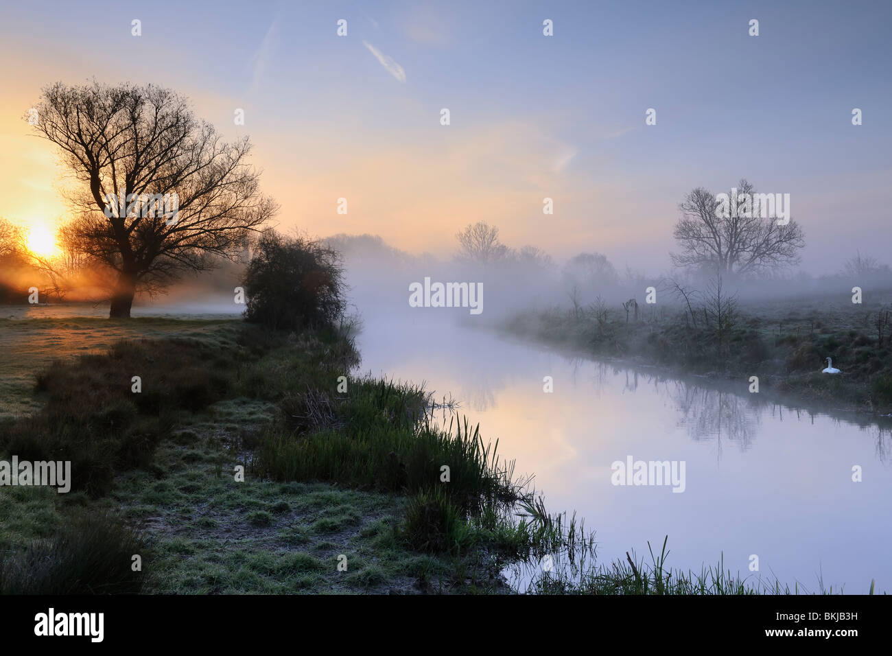 Die Wiltshire Avon auf einer nebligen April dawn Stockfoto