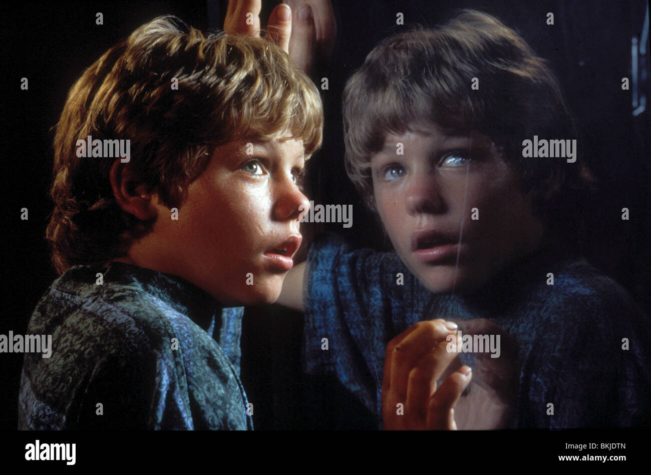 FREE WILLY (1993) JASON JAMES RICHTER FWLY 006 Stockfotografie Alamy
