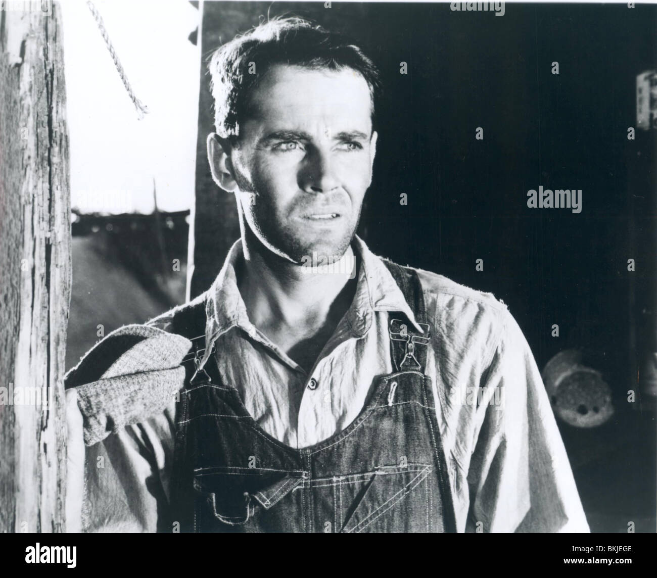 DIE TRAUBEN DES ZORNS (1940)-HENRY FONDA GOWR 002P Stockfoto