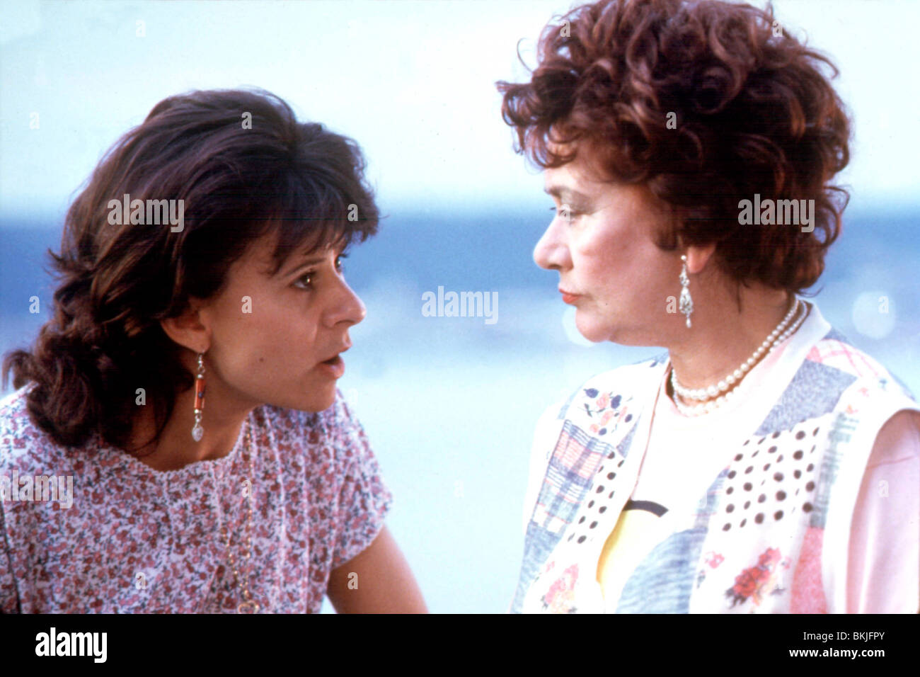 ICH LIEBE DICH ZU TODE (1990) TRACEY ULLMAN, JOAN PLOWRIGHT LYD 035 Stockfoto