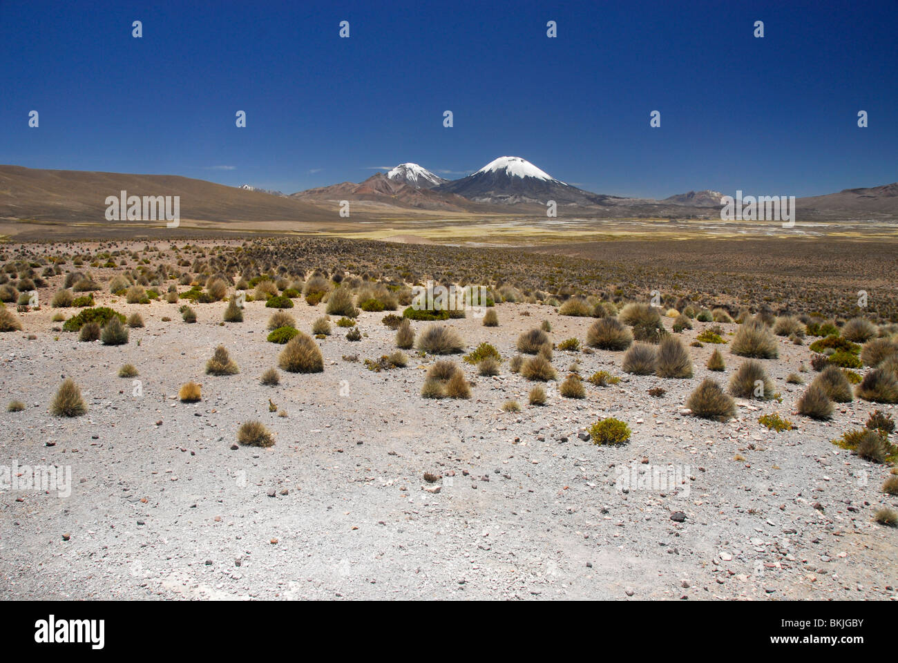 Vulkan Parinacota und Pomerape, Payachata Twin Peaks aus dem Altiplano, Nationalpark Lauca, Chile, Südamerika Stockfoto