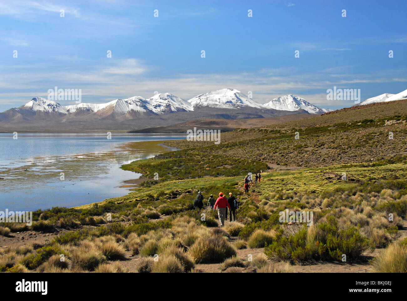 Gruppe von Wanderern am Ufer des Lago Chungara, Tarapaca Region, Chile, Südamerika Stockfoto