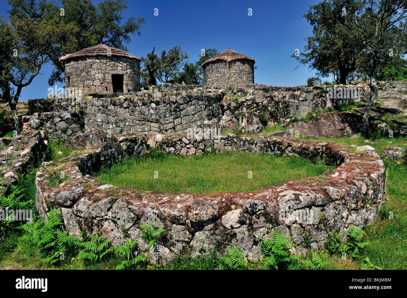 Portugal: Keltische Ruinen von Citania de Briteiros in der Nähe von Braga Stockfoto