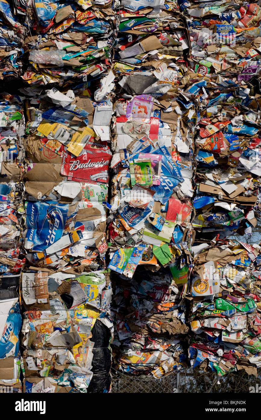 Pappe für das recycling, Charleston, South Carolina Ballen Stockfoto