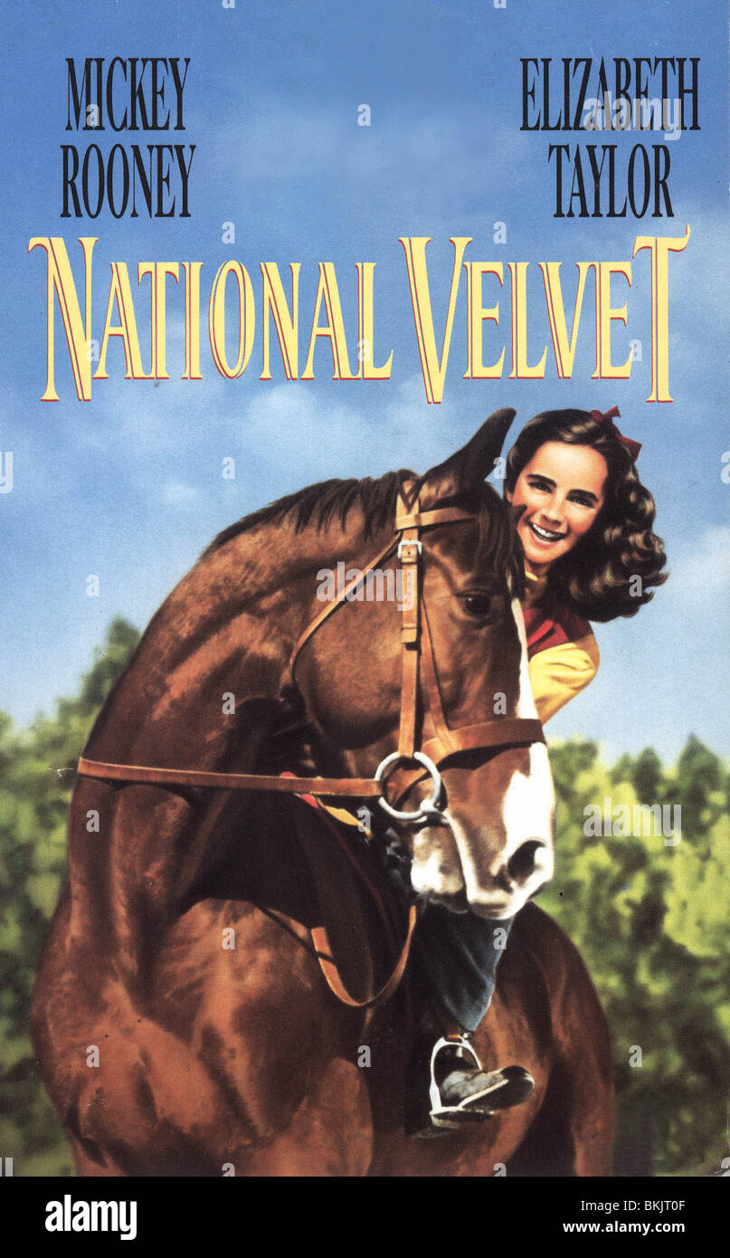 CLARENCE BROWN (DIR) NVLT 001 VS NATIONAL VELVET (1944) Stockfoto