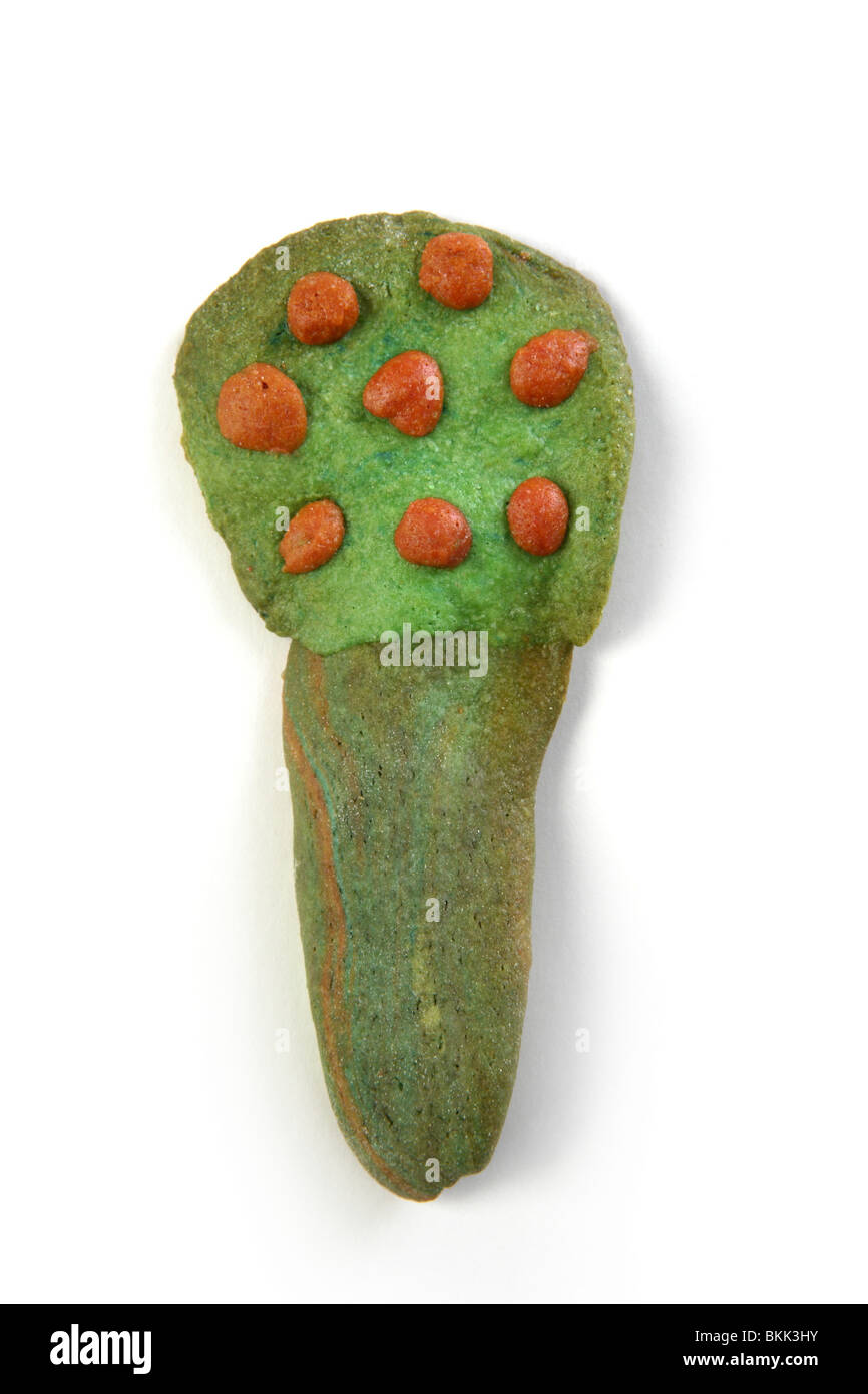 Baum Form grün Kekse mit orangefarbenen Früchten isoliert Stockfoto