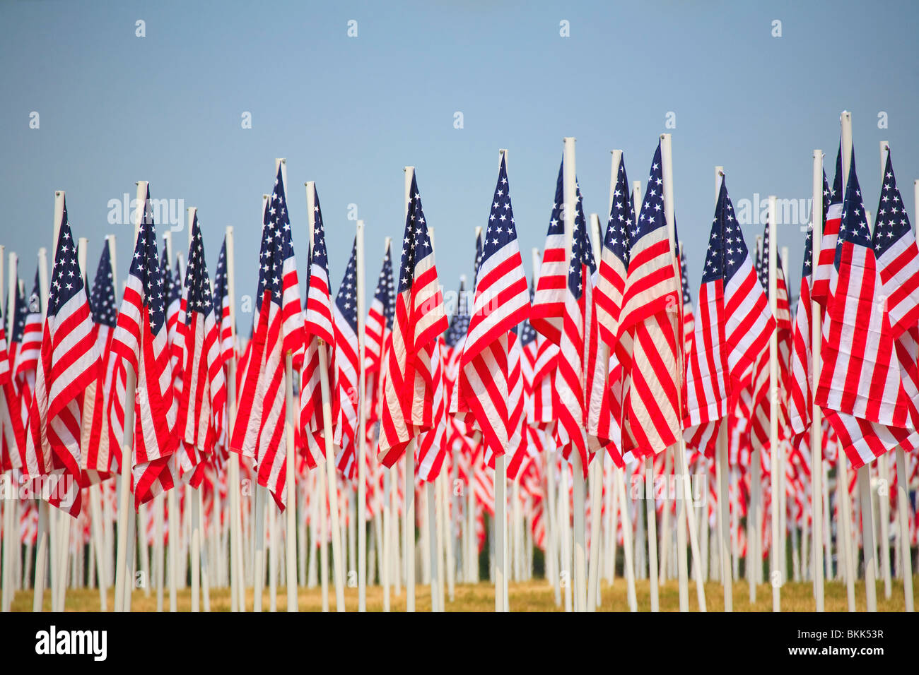 Eine Anzeige von vielen Flaggen der Vereinigten Staaten von Amerika Stockfoto