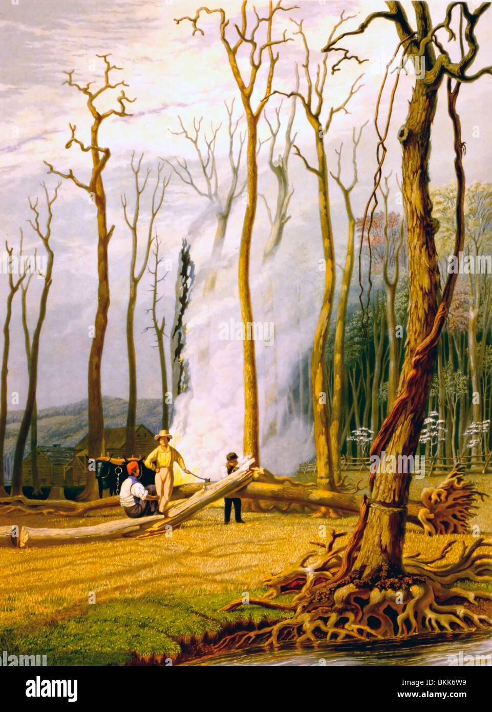 Frühling - Brennen umgestürzte Bäume in einem geringelt clearing--USA Western-Szene - 1840er Jahren Stockfoto