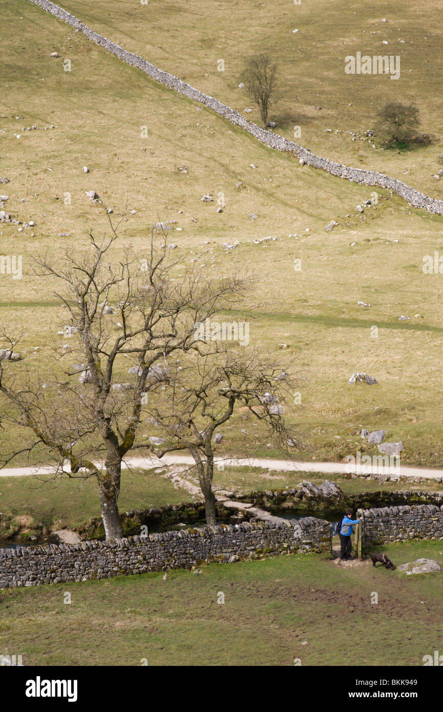 Eine Frau mit ihrem Hund in den Yorkshire Dales, England, UK. Stockfoto