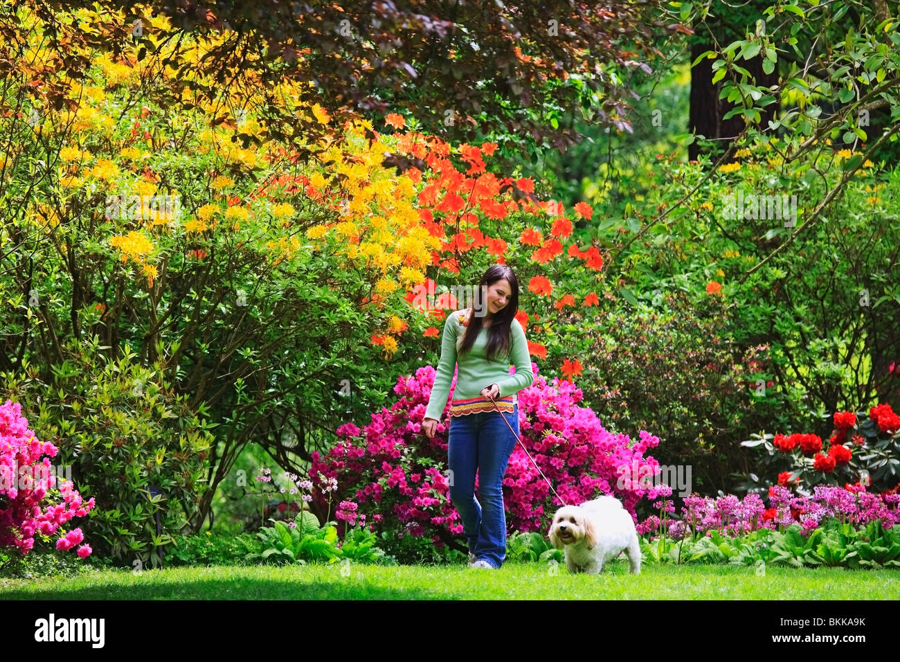 Ein Mädchen, die ihr Hund im Park spazieren Stockfoto