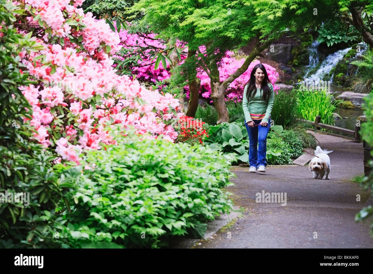 Ein Mädchen, die ihr Hund im Park spazieren Stockfoto