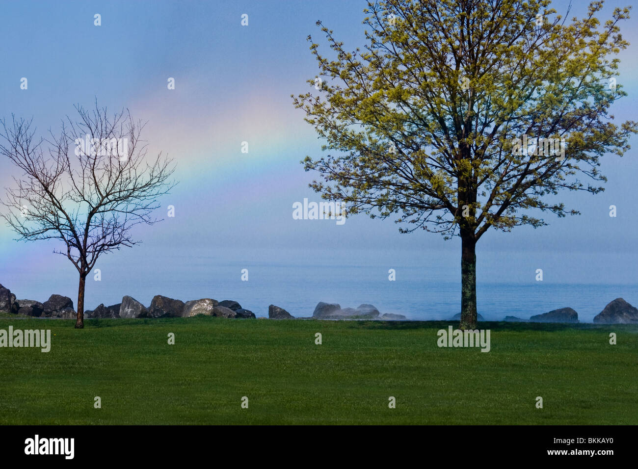 Feuerwehrleute waren in der Ausbildung und unter der Regie ihrer Schlauch über den See und die Bäume, die Schaffung dieser Regenbogen und Nebel Stockfoto