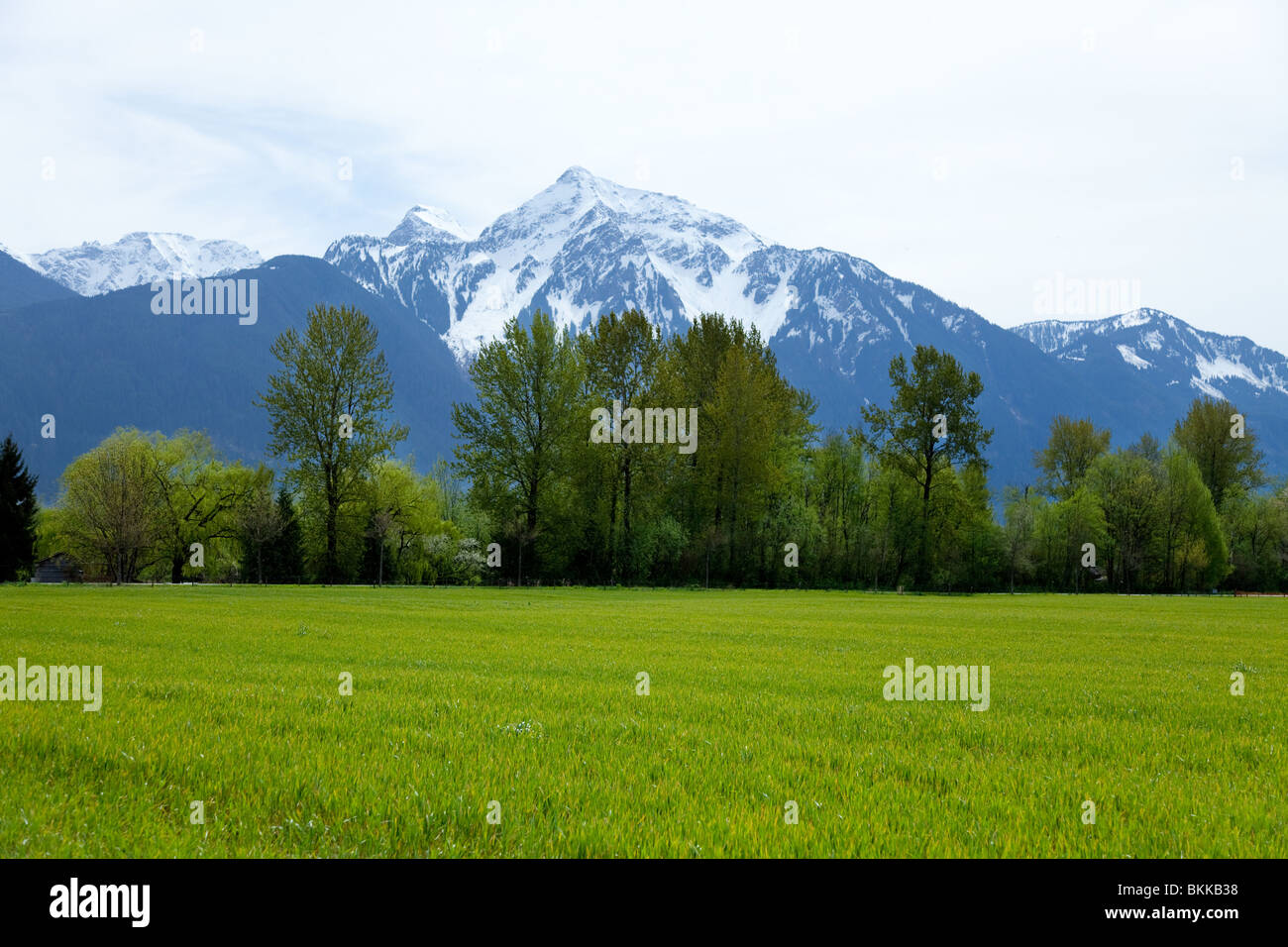 Berg und Grass für Hintergrund Stockfoto