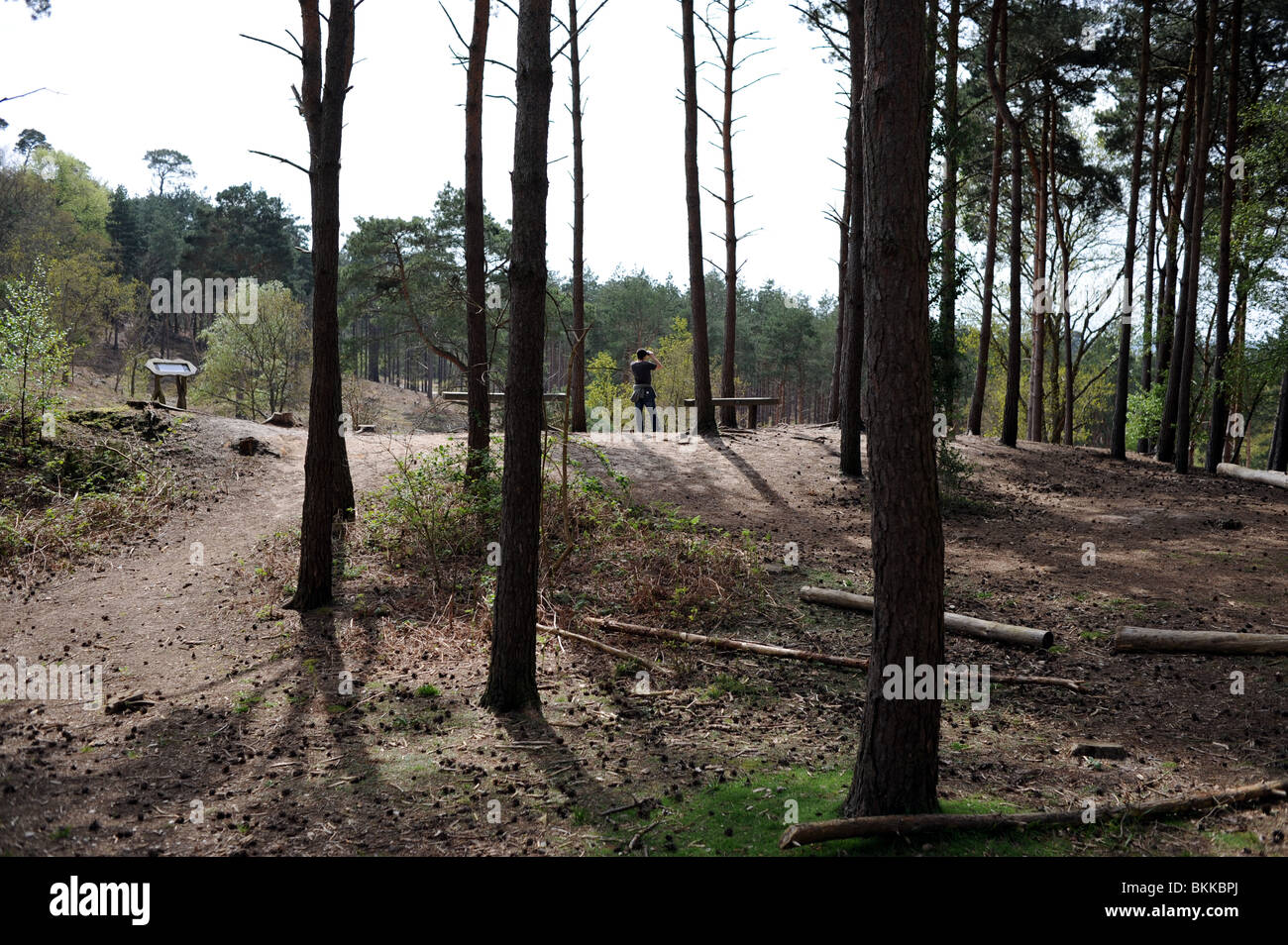 Der Heide Wanderweg und gehen auf der RSPB Pulborough Brooks Nature Reserve in West Sussex UK Stockfoto