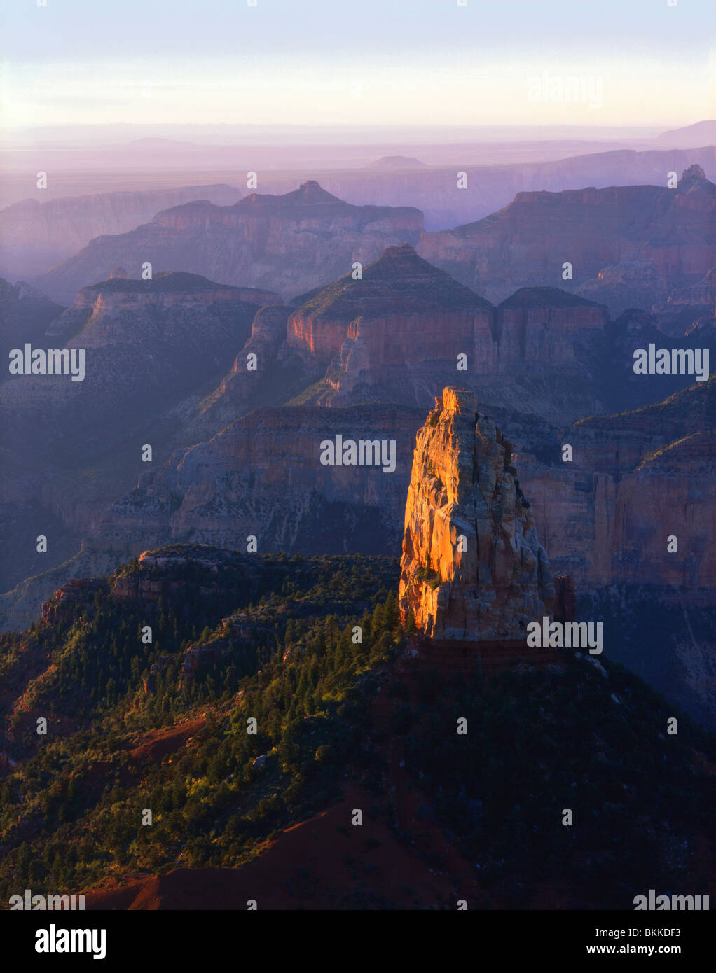 Mount Hayden bei Sonnenaufgang aus Point Imperial North Rim Grand Canyon USA Stockfoto