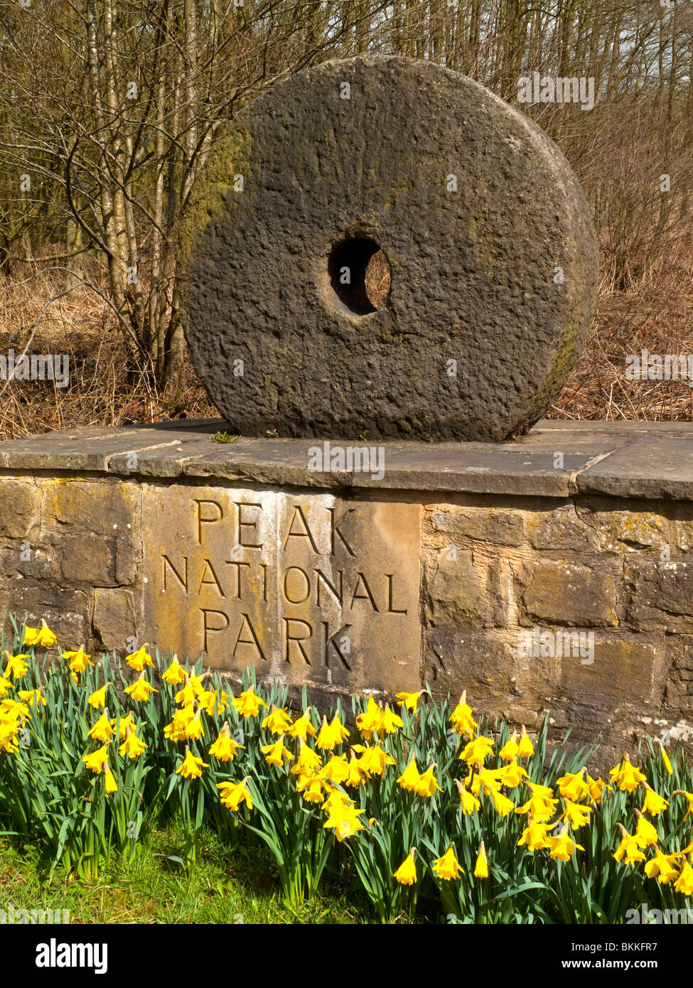 Stein-Plakette am Eingang zu den Peak District National Park in der Nähe von Lauch in Staffordshire England UK mit Narzissen im Vordergrund Stockfoto