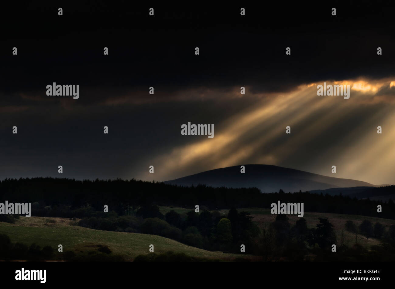 Sonnenstrahlen durchbrechen Gewitterhimmel, aufgenommen am frühen Abend in der Nähe von Invershin, mit Blick auf den Kyle of Sutherland, Schottland Stockfoto