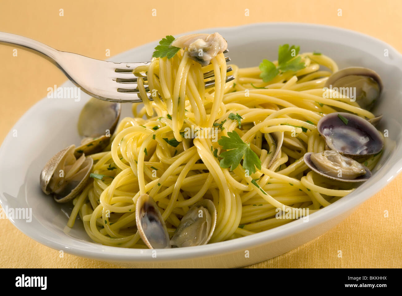 Teller Spaghetti mit Venusmuscheln Stockfoto