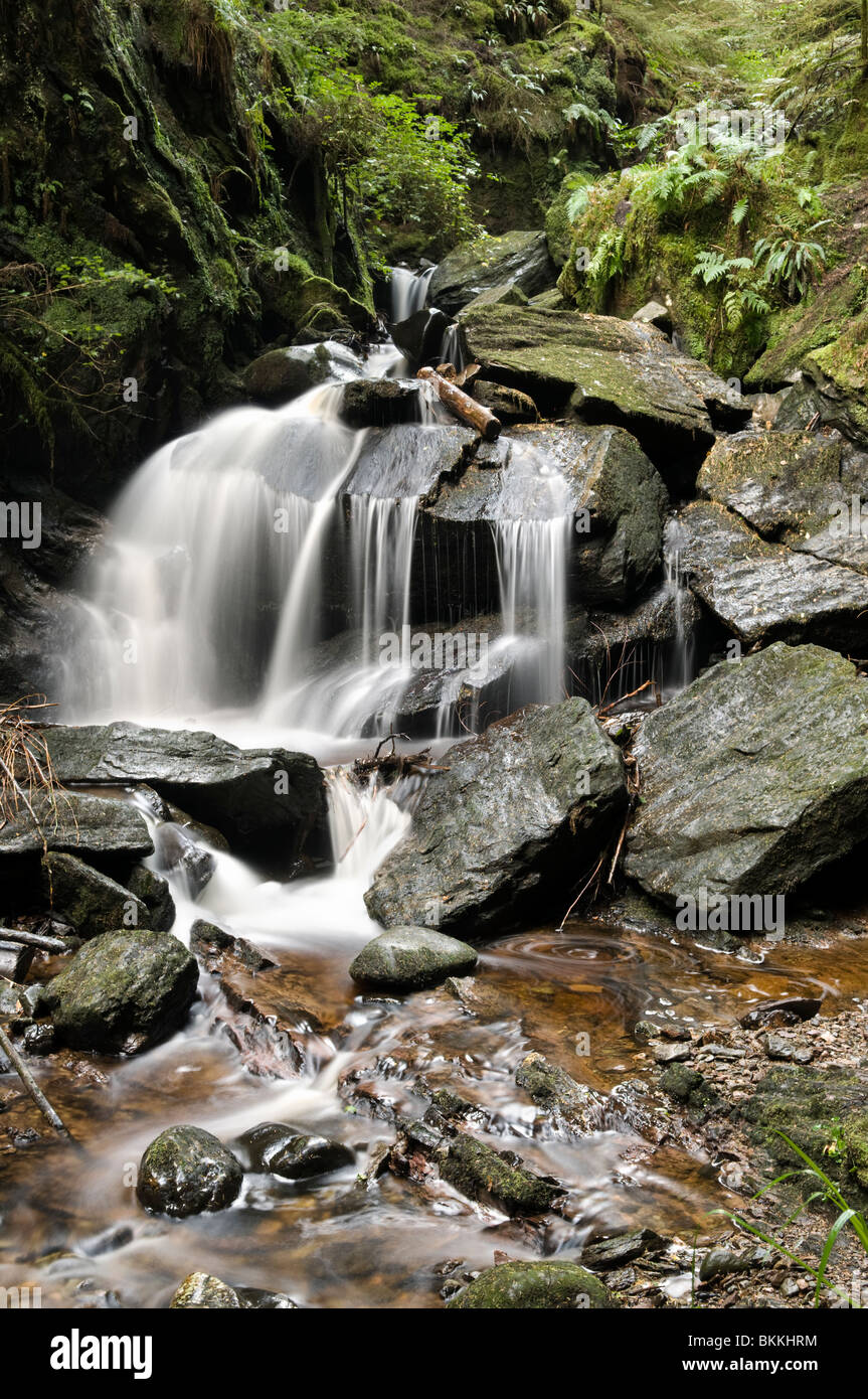 Wasserfall in der magischen Pucks Glen gehen, Benmore in Argyll Forest Park in der Nähe von Dunoon, auf der Halbinsel Cowal, Schottland Stockfoto