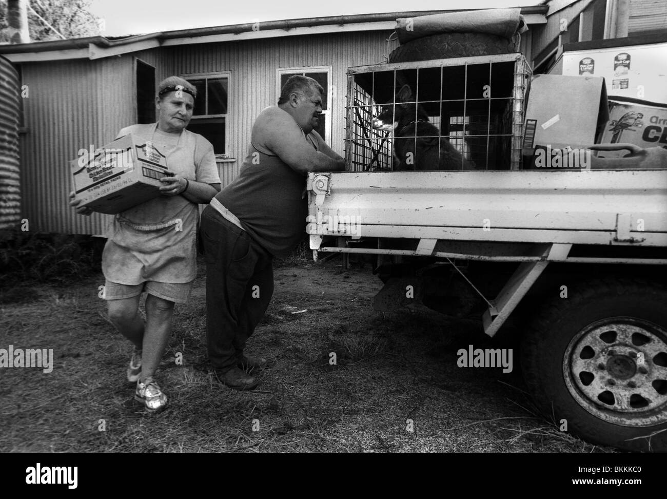Eine Frauensache - Verpackung der Ute, Outback NSW, Australien. Stockfoto