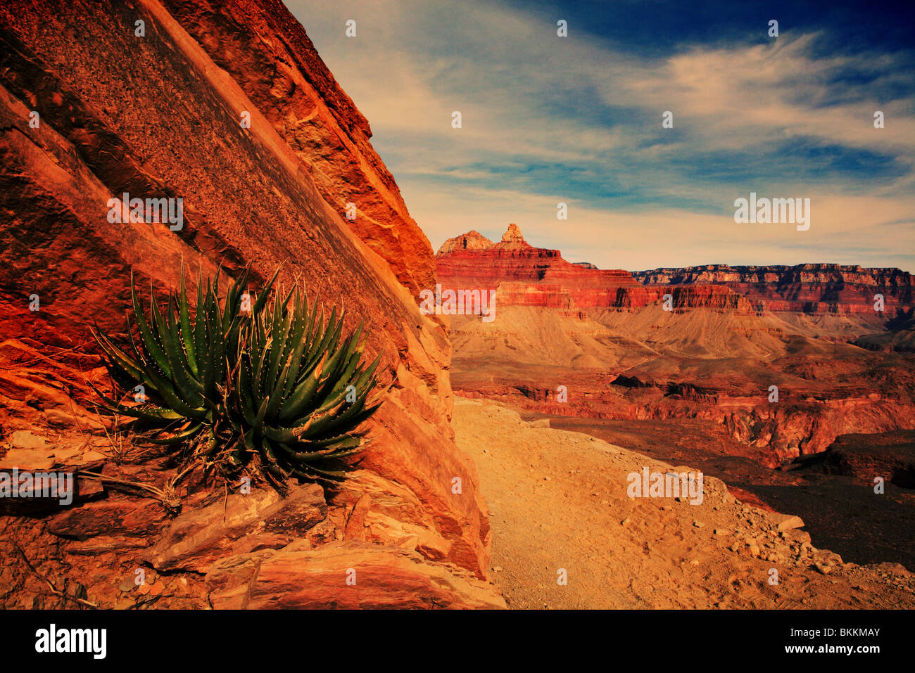 SOUTH KAIBAB TRAIL IN GRAND CANYON NATIONAL PARK, ARIZONA, USA Stockfoto