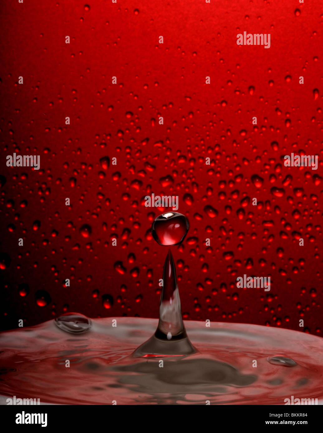 Rot, Tropfen Wasser, Wasser, High-Speed-Fotografie, Höhepunkt des Erfolgs Stockfoto