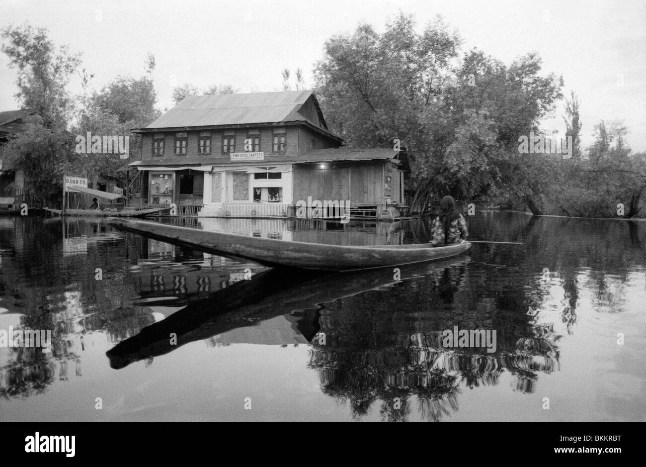 "Shikaras", kleine Boote auf See Dal, Srinagar in Vale von Kaschmir Stockfoto