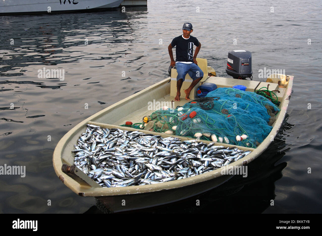 Ankunft in seinem Fischerboot mit frischen Fischer fangen in der Fischerei Hafen von Khasab, Musandam, Sultanat von Oman Stockfoto