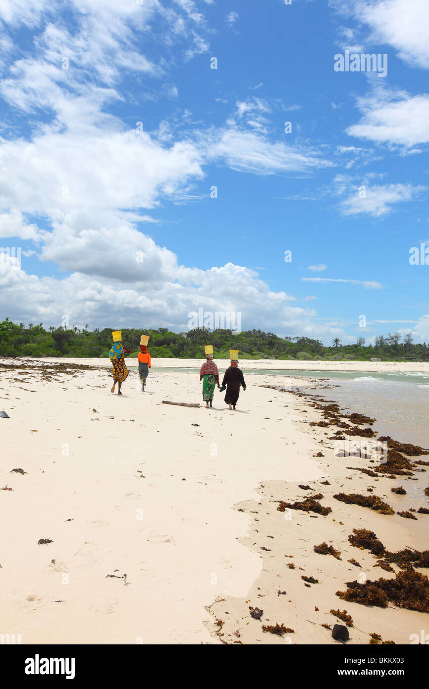 Mombasa, Kenia, Afrika, Diani Beach, Indischer Ozean, Frau verkaufen Fisch Stockfoto
