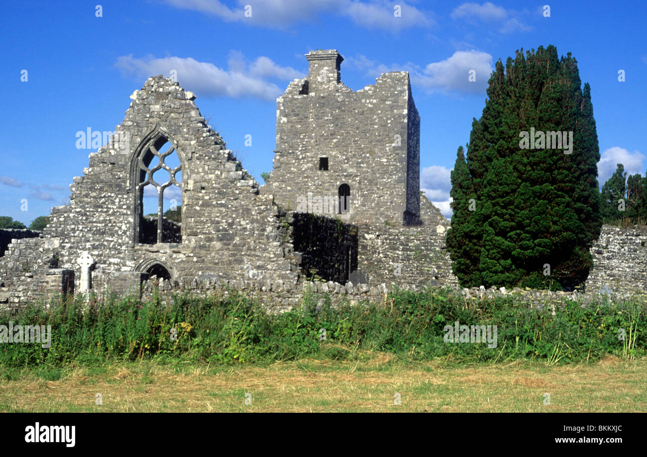 Creevelea Kloster, Ruine Dromahair, Grafschaft Leitrim, Irland-Eire irischer franziskanische Klöster aus dem 16. Jahrhundert bleibt Ruinen Stockfoto