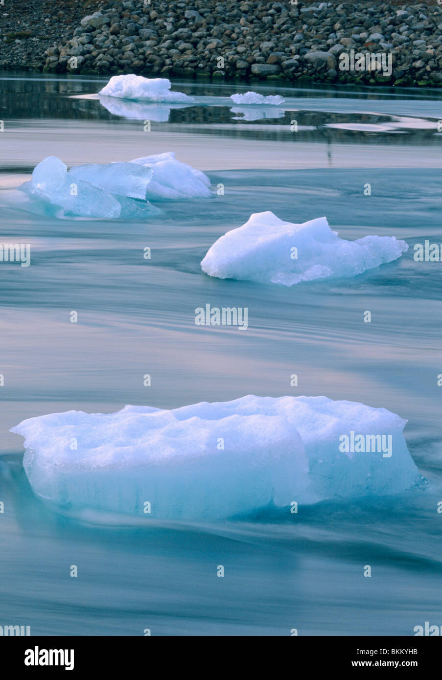 Island, Jökulsárlón, Gletscherlagune an Südküste, fließen Eisberge flussabwärts zum Meer. Stockfoto