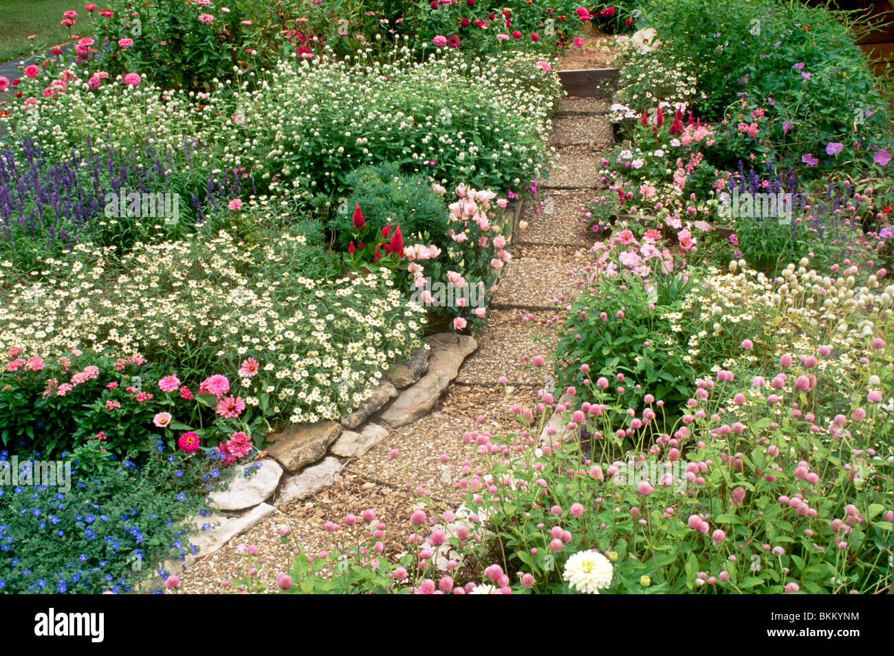 Bauerngarten mit Weg gemacht von Pflastersteinen und Steinbruch Rock Schaffung einen stabilen Gehweg durch einen bunten blühenden Garten Stockfoto